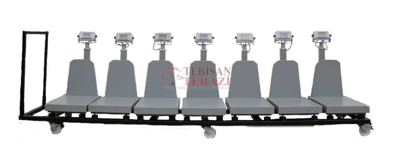 TEBİSAN HİSSELİ BASKÜLÜ EKOPAY 150 KG X 20 GR 40 X 50