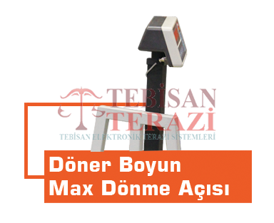 TEB 300 KG X 100 GR 60 X 60  TARTIM BASKÜLÜ
