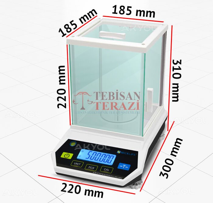 FLY-300 GR ( 0,001 GR / 1 Mg ) HASSAS TERAZİ