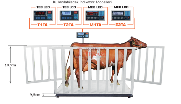 TEB 1500 KG X 500 GR 110 X 200 CANLI HAYVAN BASKÜLÜ