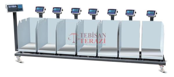 TEM KABLOSUZ HİSSELİ BASKÜL EKO 150 KG X 20 GR 35 X 45