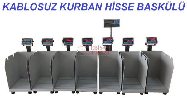 TEM KABLOSUZ HİSSELİ BASKÜL EKO 150 KG X 20 GR 35 X 45