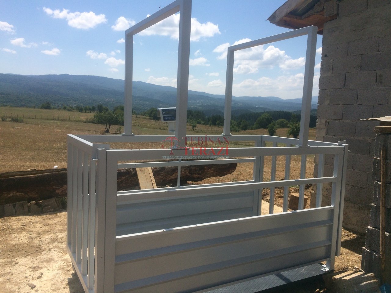 TEM CANLI HAYVAN BASKÜLÜ 1500KG 500GR 110x240 TARTIM TEB