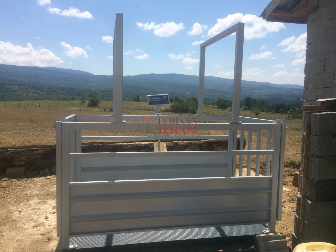 TEM CANLI HAYVAN BASKÜLÜ 1500KG 500GR 110x200 TARTIM TEB