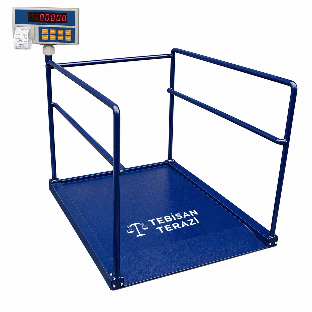 DİKOMSAN HWP-ET 300 KG X 100 GR 90 X 120 DİYALİZ BASKÜLÜ YAICILI TEK RAMPA
