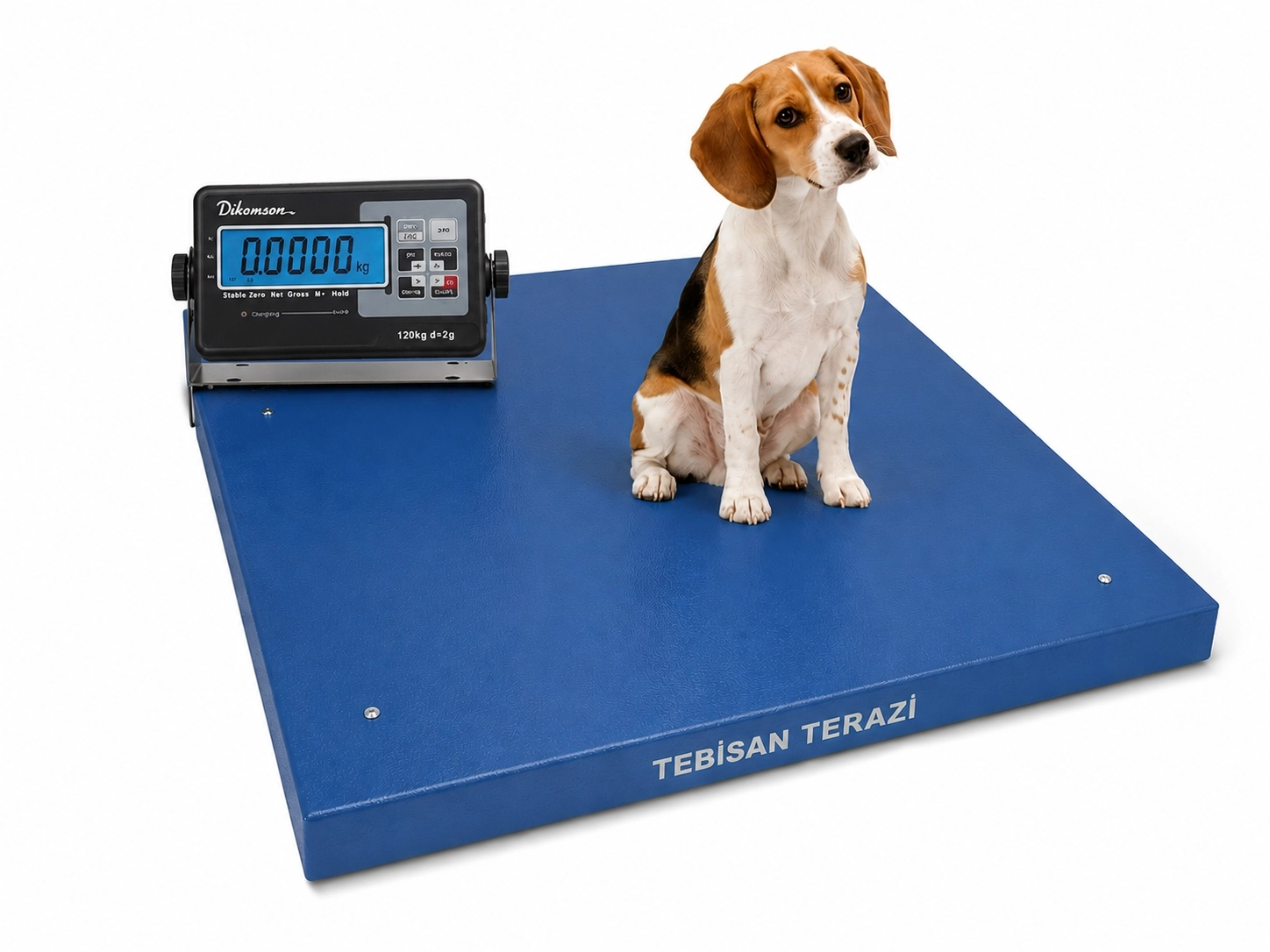 DİKOMSAN VETERİNER BASKÜLÜ 150KG 50GR 57x78 TARTIM V-RAW