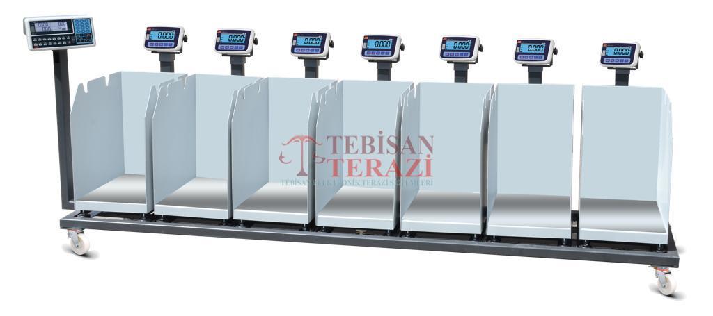 TEM HİSSELİ BASKÜLÜ 150KG 20GR 40x50 7Lİ TARTIM EKO