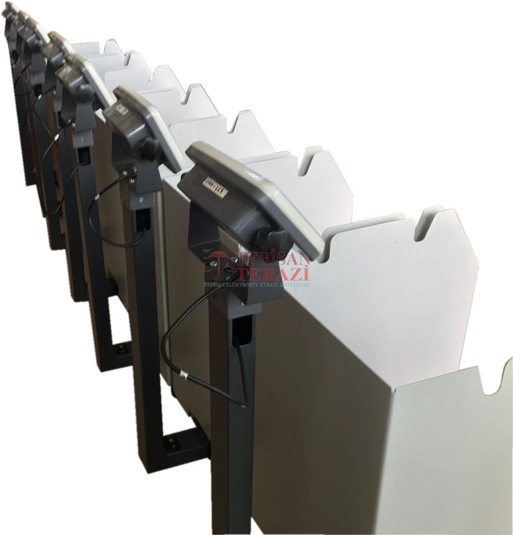 TEM HİSSELİ BASKÜLÜ 150KG 20GR 40x50 7Lİ TARTIM EKO