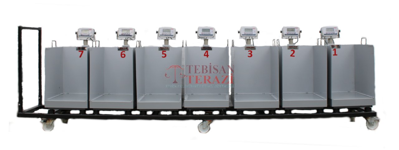 TEBİSAN HİSSELİ BASKÜLÜ 150KG 20GR 40x50 TARTIM KOVALI