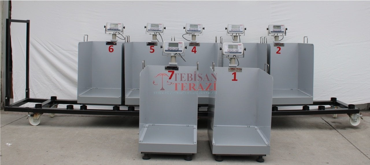 TEBİSAN HAYVAN BASKÜLÜ HİSSELİ KOVALI  150KG 20GR 40x50 TARTIM