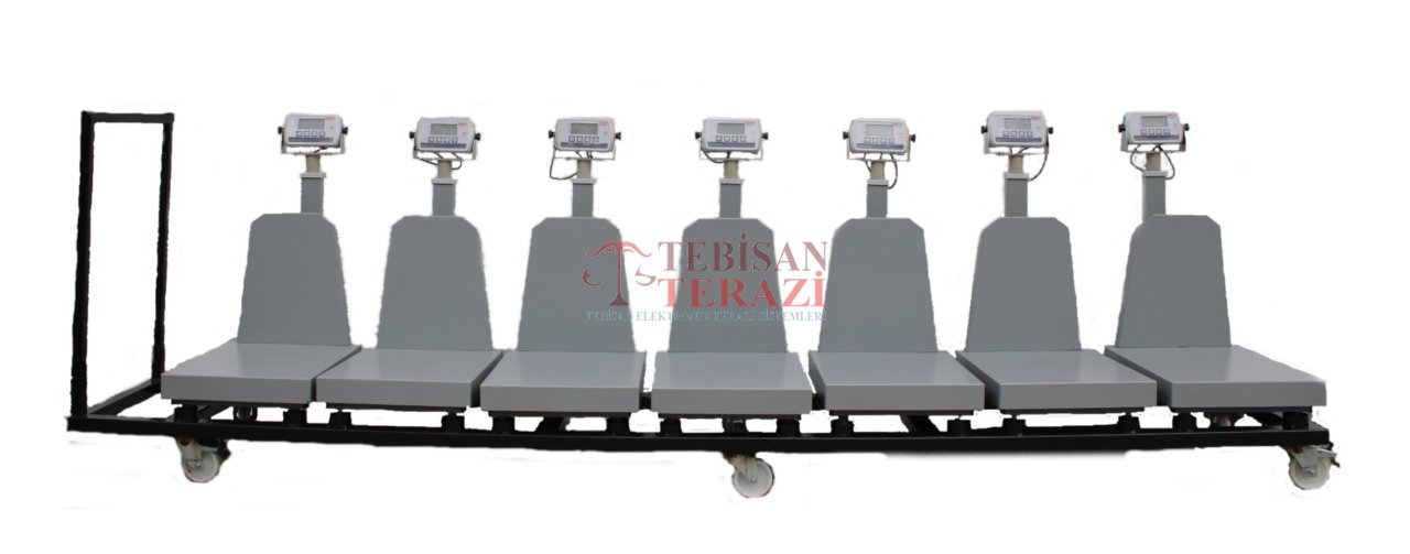 TEBİSAN HAYVAN BASKÜLÜ HİSSELİ 150KG 20GR 40x50 TARTIM EKOPAY