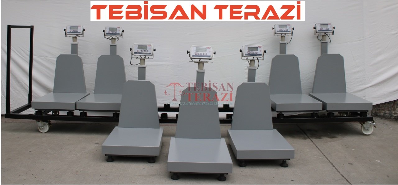 TEBİSAN HAYVAN BASKÜLÜ HİSSELİ 150KG 20GR 40x50 TARTIM EKOPAY