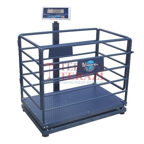 DİKOMSAN CANLI HAYVAN BASKÜLÜ 600KG 200GR 70x110 KÜÇÜKBAŞ TARTIM HCW