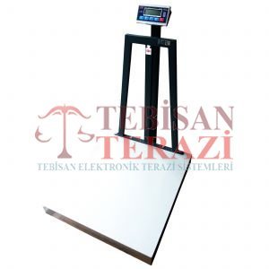 TESS RP 600 KG X 100 / 200 GR 70 X 80 TARTIM BASKÜLÜ