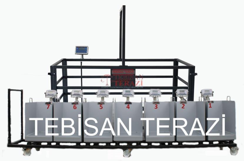 Tebisan EKOPAY 150 Kg 20 Gr Hisseli ve Hayvan Baskülü 40x50 | Dijital Tartım Terazisi