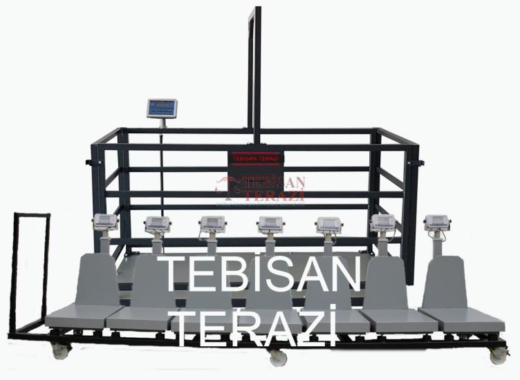Tebisan EKOPAY 150 Kg 20 Gr Hisseli ve Hayvan Baskülü 40x50 | Dijital Terazi
