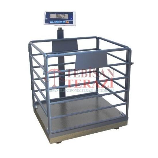 Dikomsan HCW 600 Kg 200 Gr Canlı Hayvan Baskülü 80x90 | Küçükbaş Tartım Terazisi