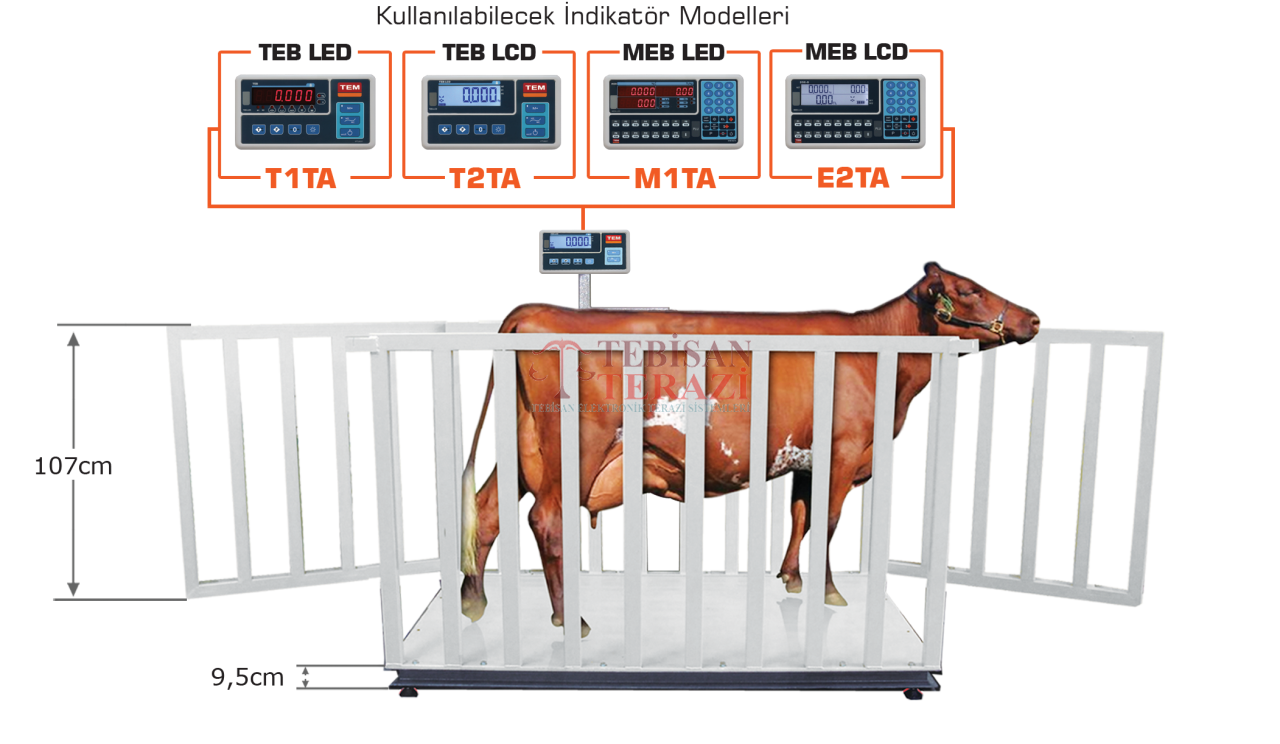 TEM CANLI HAYVAN BASKÜLÜ 1500KG 500GR 110x200 TARTIM TEB