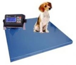 VETERİNER BASKÜLÜ